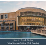 check Dubai visa status online guide