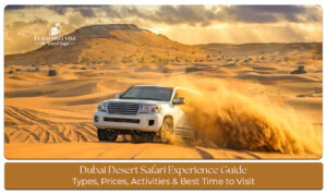 Desert safari in Dubai with 4x4 dune bashing, camel rides, and a beautiful sunset over the golden sand dunes.